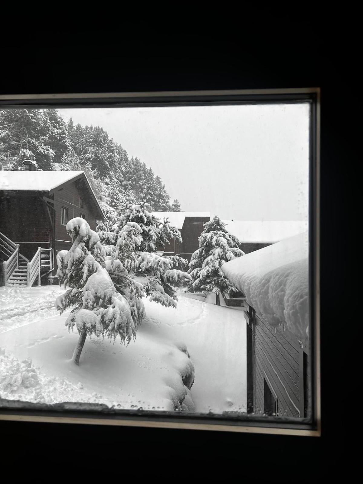 Exclusiva Cabana En Incles - Vistas Al Valle & Pistas De Ski Grandvalira - Free Parking Canillo Exteriér fotografie